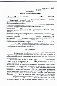 Приговор 2-2025 год (против собственности)- 3 стр