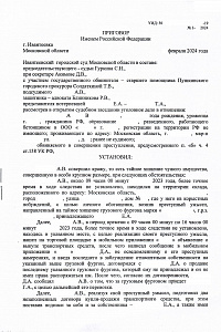Приговор ЮВ-2025 год (против собственности)